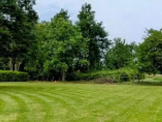 Terrain à bâtir de 1285 m² à SAINT-CYR-SUR-MENTHON (01)