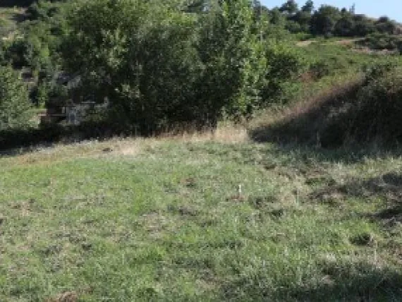 Terrain à bâtir de 1260 m² à MONTMERLE-SUR-SAONE (01)