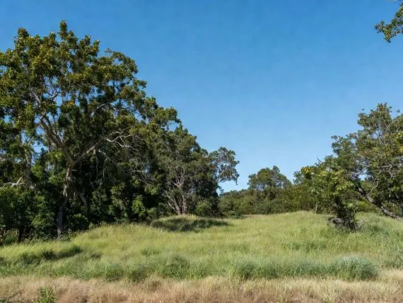 Terrain à bâtir de 500 m² à PRISSE (71)