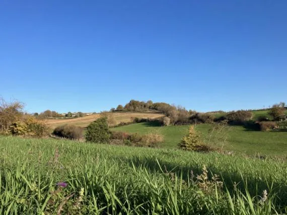 Terrain à bâtir de 760 m² à LOZANNE (69)