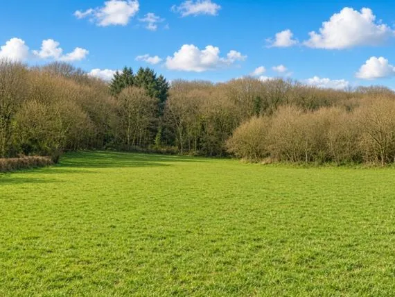 Terrain à bâtir de 9344 m² à LUGNY (71)