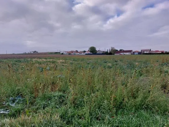 Terrain à bâtir de 314 m² à LES MARTRES-D'ARTIERE (63)
