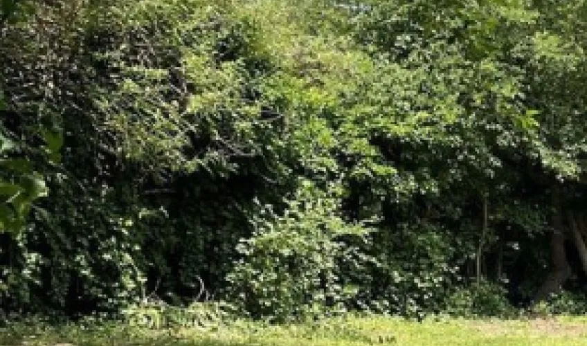 Terrain à bâtir de 1500 m² à IGE (71)