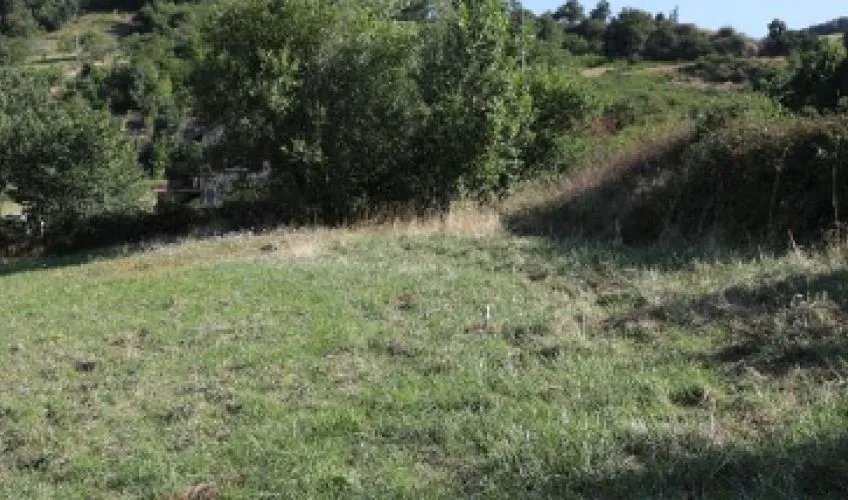 Projet de construction d'une maison 131 m² avec terrain à BAGE-LA-VILLE (01)