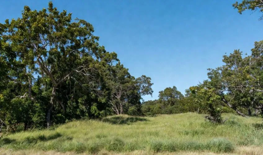 Projet de construction d'une maison 101 m² avec terrain à PRISSE (71)
