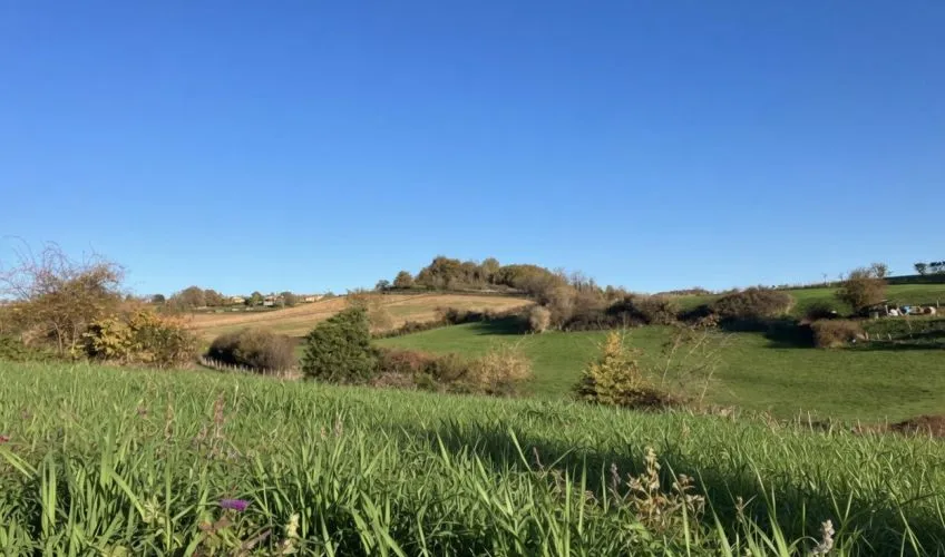 Terrain à bâtir de 760 m² à LOZANNE (69)