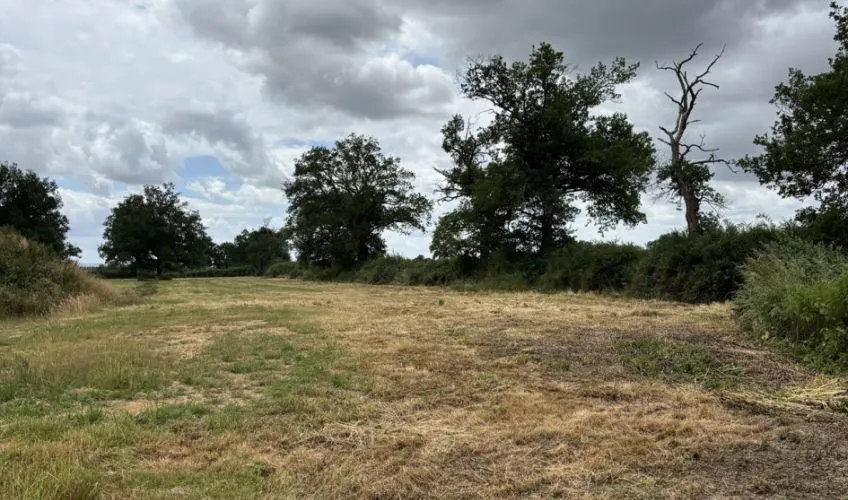 Projet de construction d'une maison 98 m² avec terrain à VITRY-EN-CHAROLLAIS (71)