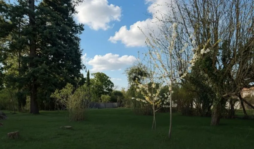 Projet de construction d'une maison 75 m² avec terrain à PRISSE (71)