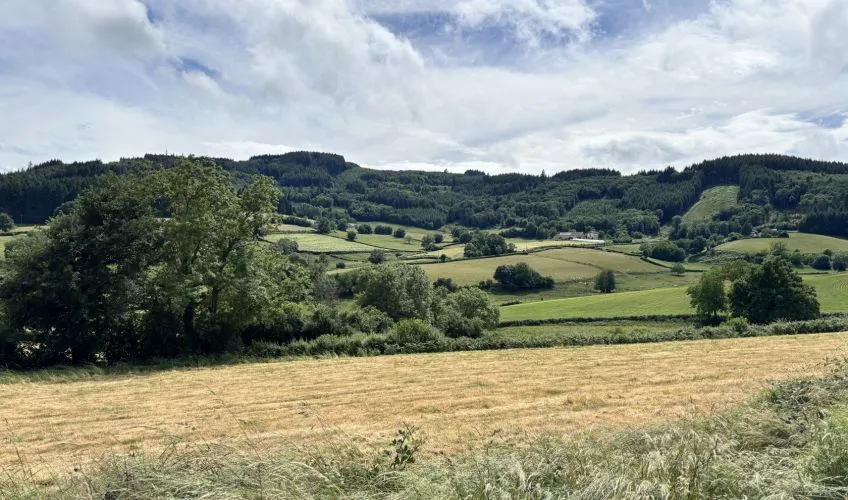 Projet de construction d'une maison 140 m² avec terrain à MATOUR (71)