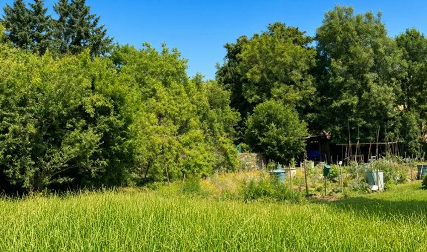Projet de construction d'une maison 93 m² avec terrain à IGE (71)