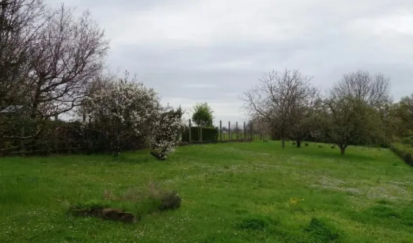 Projet de construction d'une maison 156 m² avec terrain à CHARNAY-LES-MACON (71)