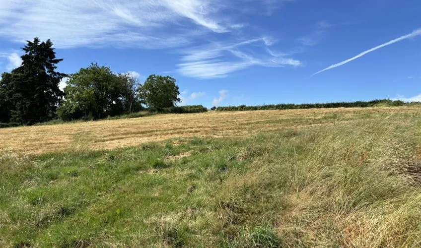 Projet de construction d'une maison 101 m² avec terrain à MATOUR (71)