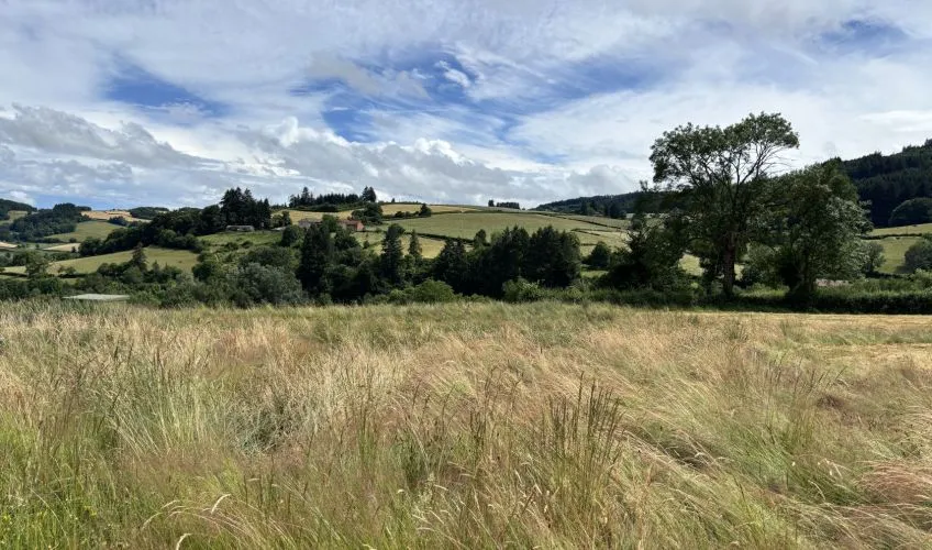 Projet de construction d'une maison 101 m² avec terrain à MATOUR (71)
