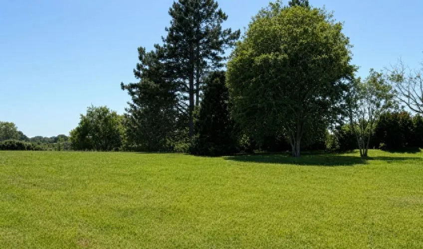 Projet de construction d'une maison 99 m² avec terrain à SAINT-JULIEN-SUR-VEYLE (01)