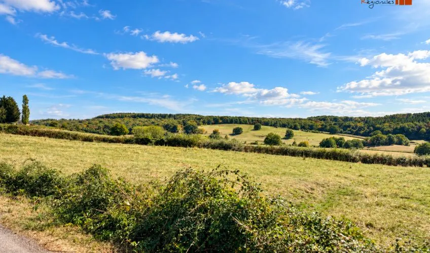 Terrain à bâtir de 1400 m² à BLANZY (71)