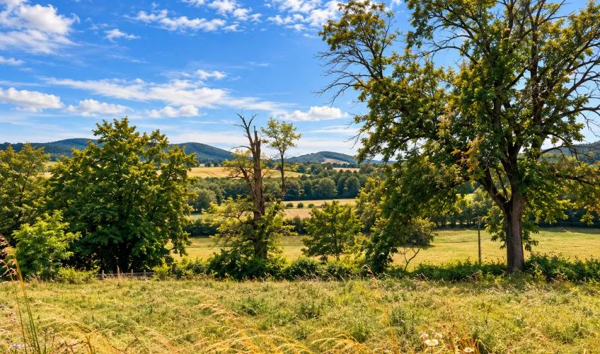 Terrain à bâtir de 1033 m² à DOMPIERRE-LES-ORMES (71)