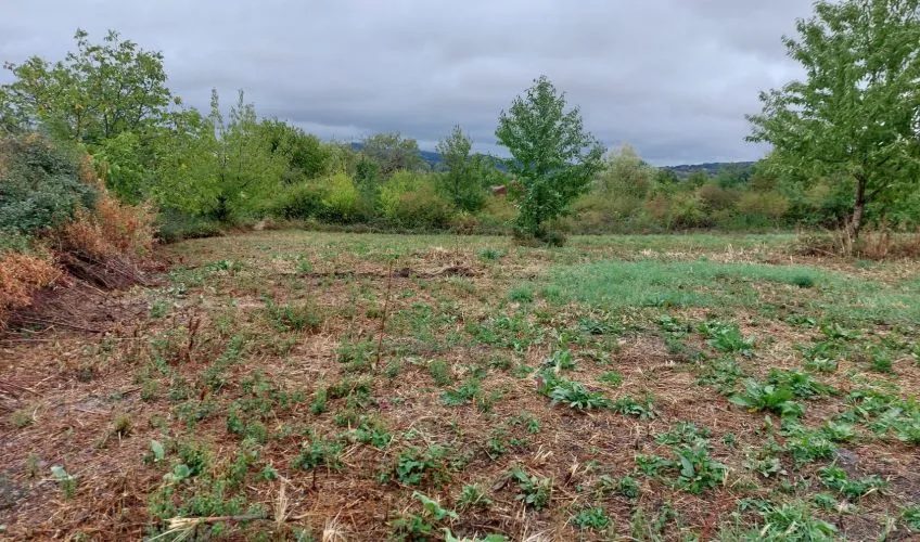 Projet de construction d'une maison 98 m² avec terrain à SAINT-JULIEN-DE-COPPEL (63)