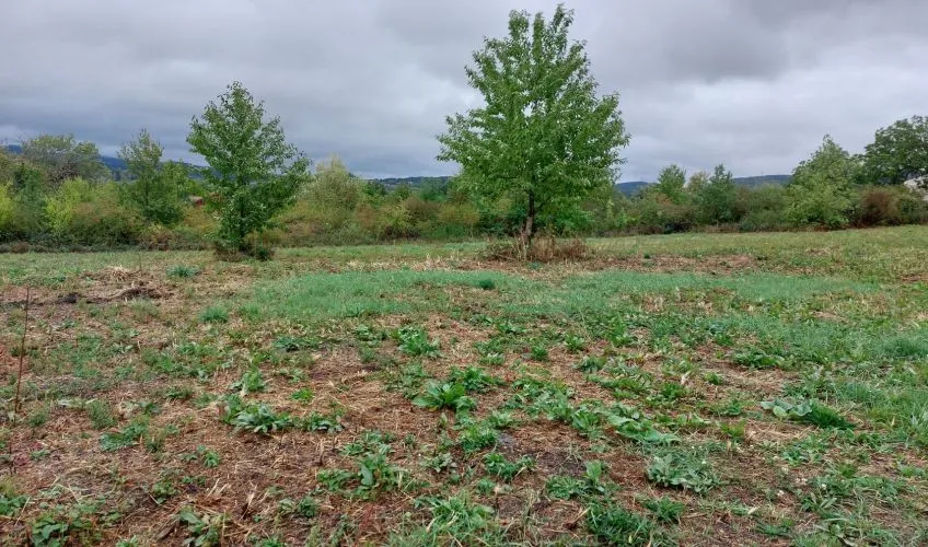 Projet de construction d'une maison 98 m² avec terrain à SAINT-JULIEN-DE-COPPEL (63)