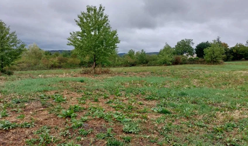 Projet de construction d'une maison 98 m² avec terrain à SAINT-JULIEN-DE-COPPEL (63)