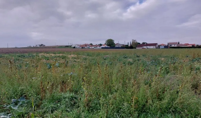 Projet de construction d'une maison 124 m² avec terrain à LES MARTRES-D'ARTIERE (63)