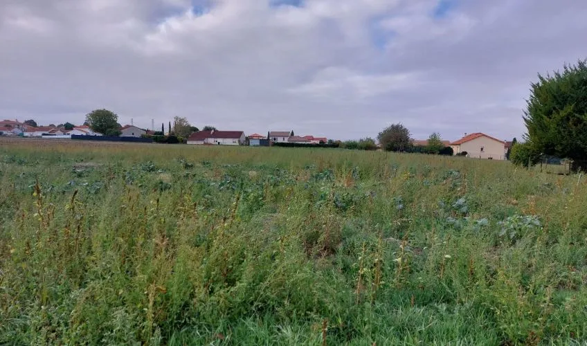 Projet de construction d'une maison 124 m² avec terrain à LES MARTRES-D'ARTIERE (63)