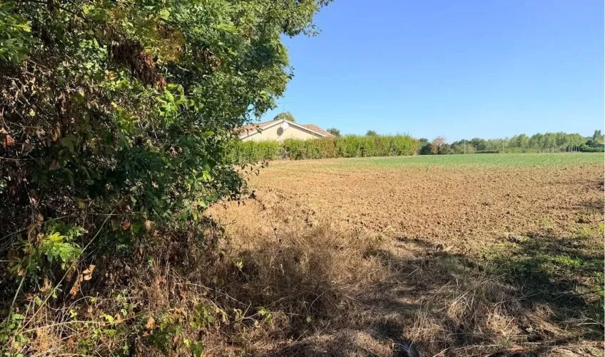 Projet de construction d'une maison 100 m² avec terrain à BÂGÉ-DOMMARTIN (01)