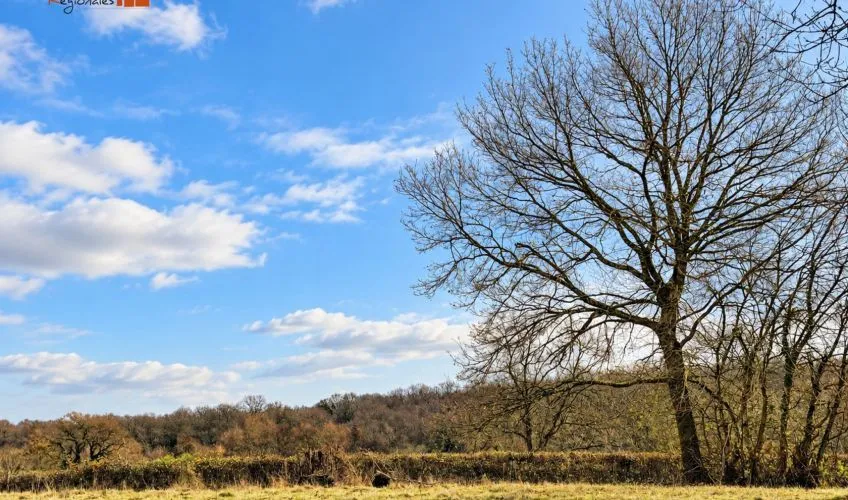 Terrain à bâtir de 1205 m² à PARAY-LE-MONIAL (71)