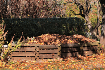 Tas de feuilles dans un composteur