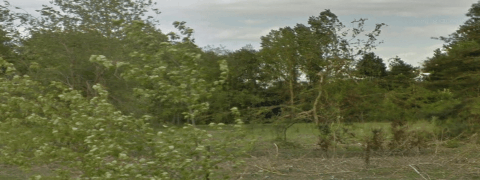 photo peronne.png
