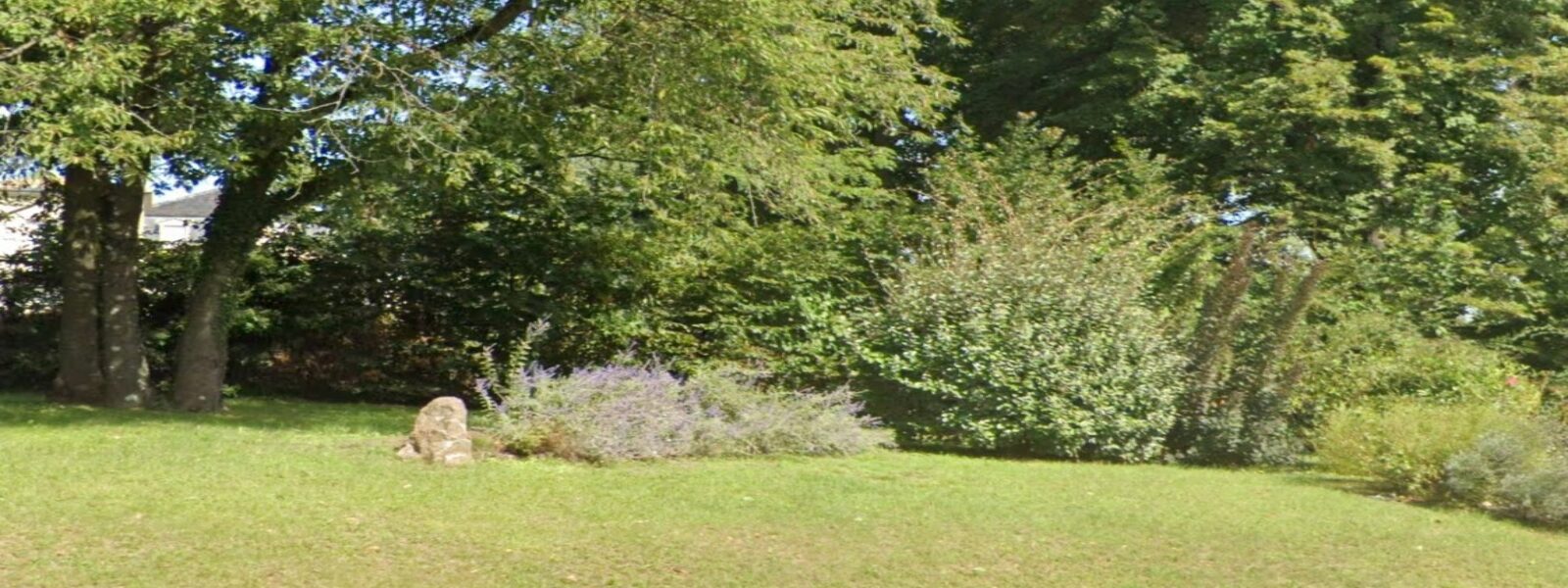 terrain.jpg