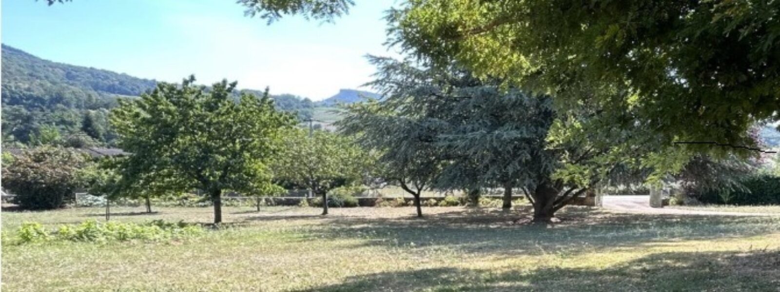 photo terrain.jpg