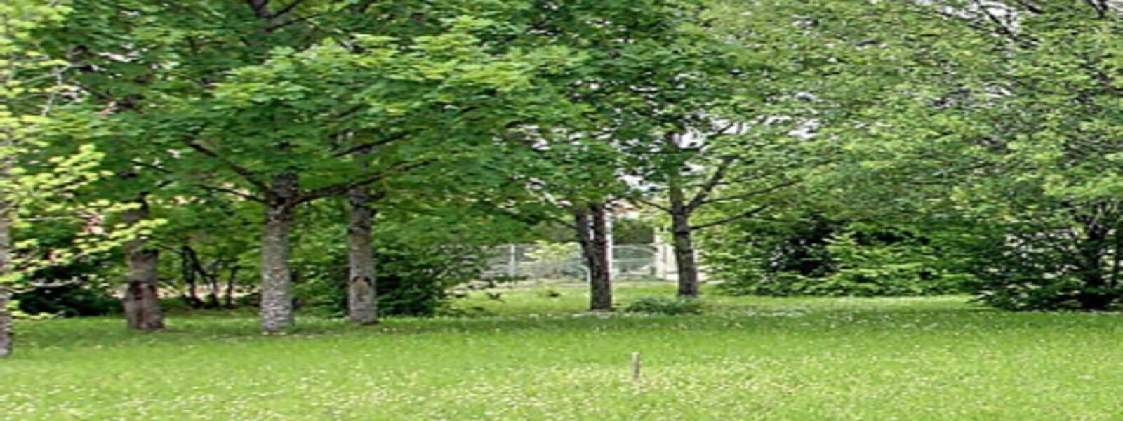 terrain.jpg