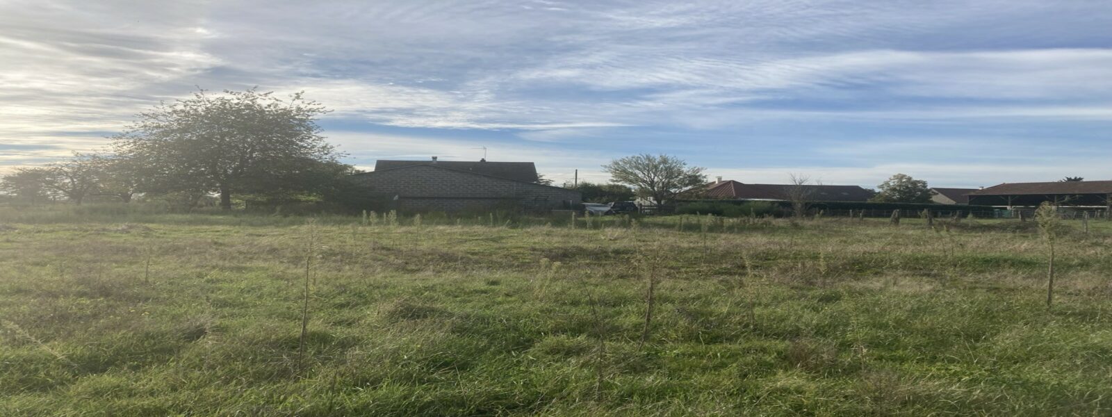 IMG_1523 - Grande.jpeg