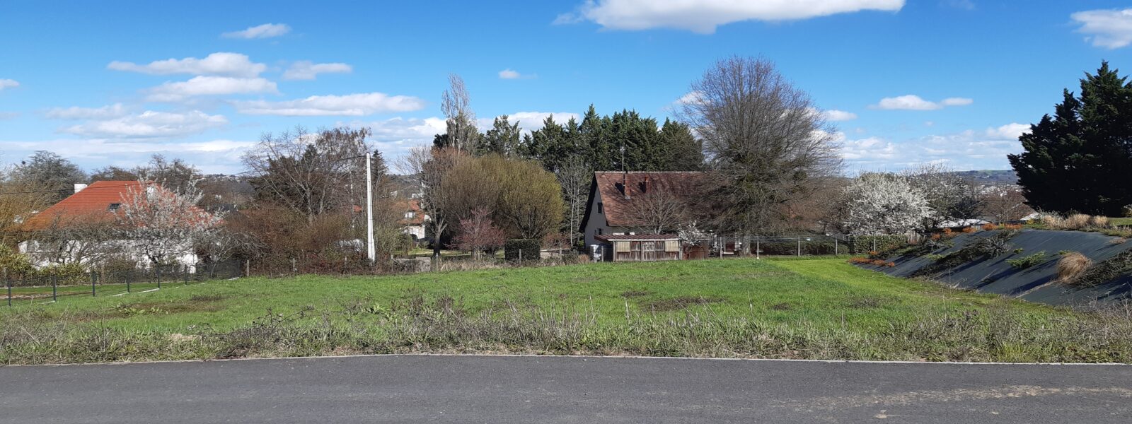 chemin de la montée.jpg