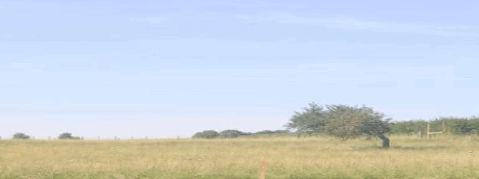 Capture d'écran 2025-11-11 204738.png