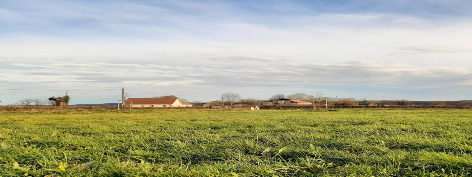 Terrain palinges 71430.jpg