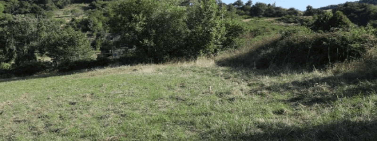 Capture d'écran 2025-11-11 203633.png