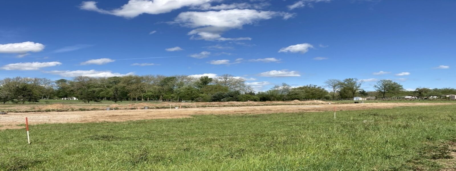 IMG_2451 - Grande.jpeg