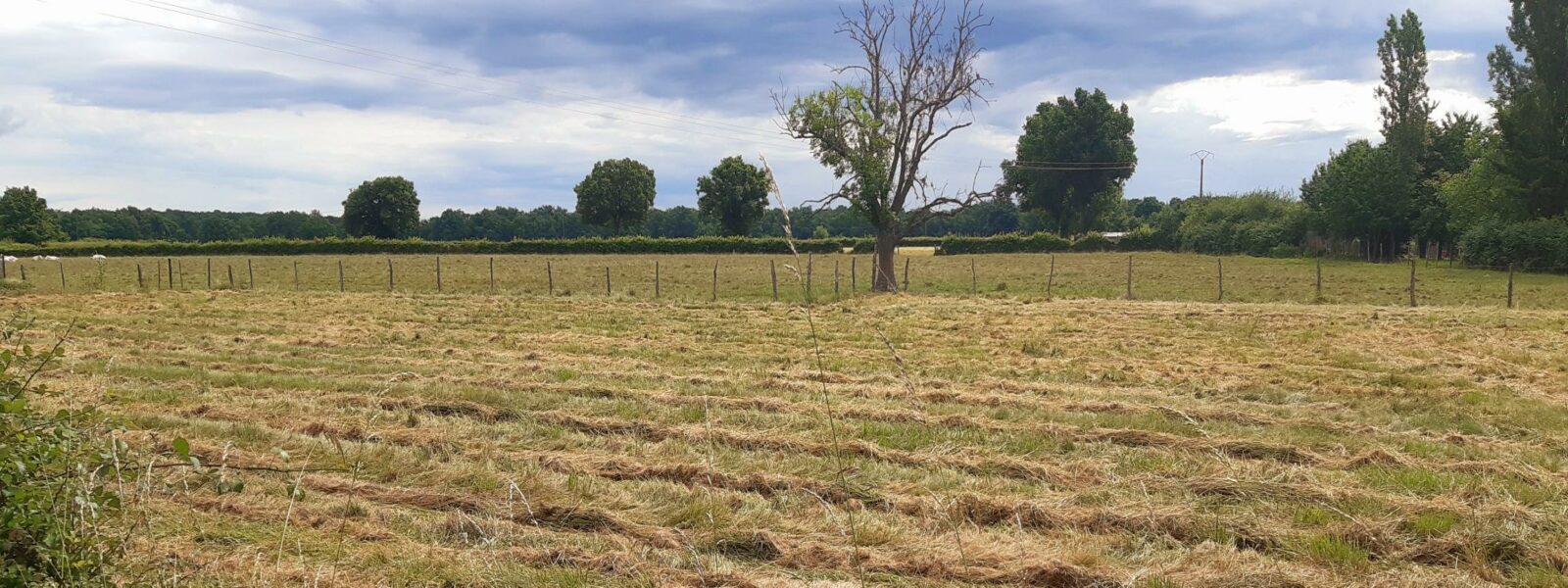 terrain St Rémy rue du Château d'eau.jpg