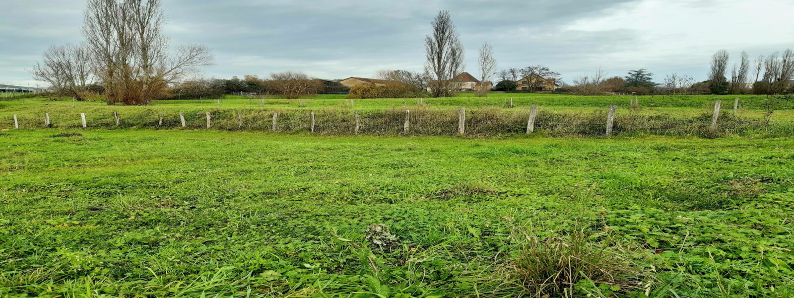 Terrain Paray le Monial 71600.jpg