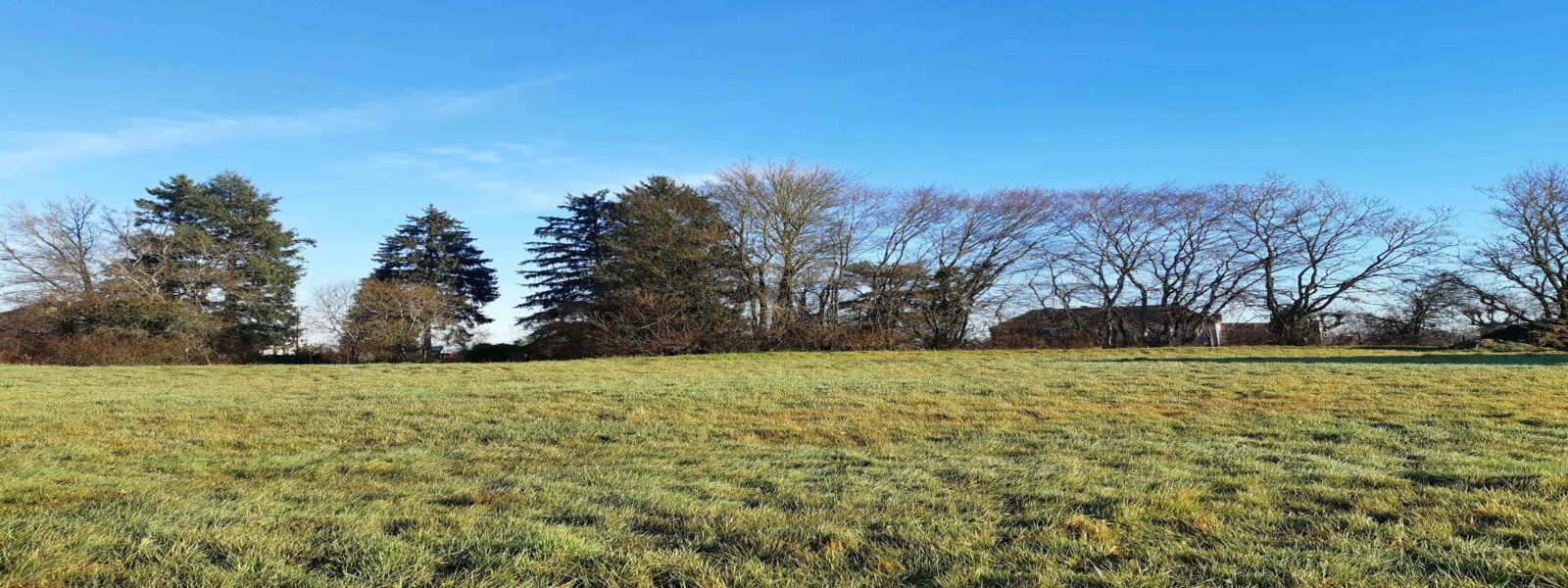 Terrain Perrecy les Forges 71420.jpg