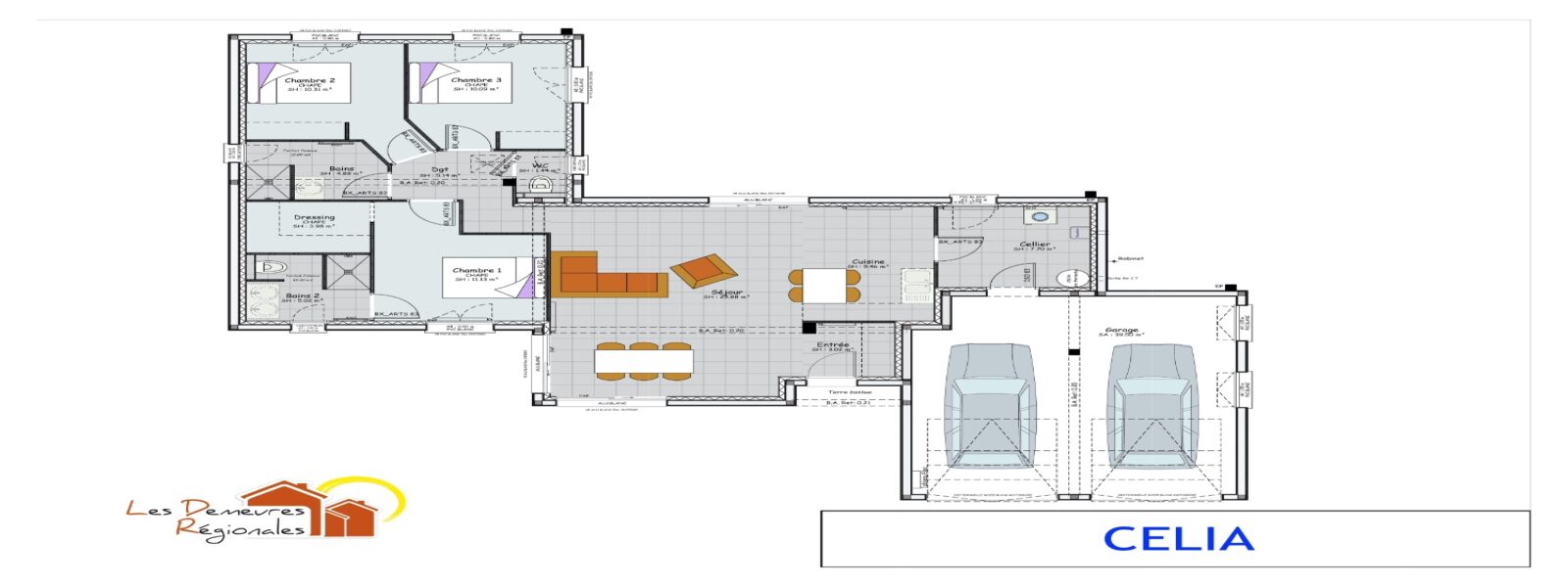 CELIA plan de cellule.jpg