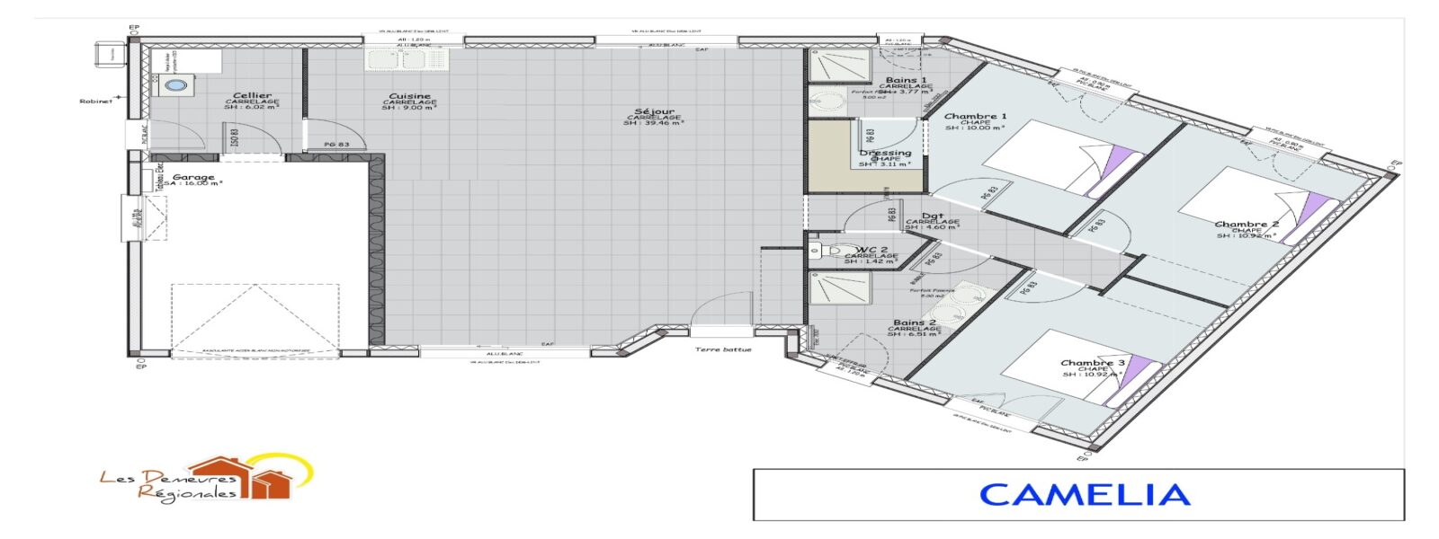 CAMELIA plan de cellule.jpg