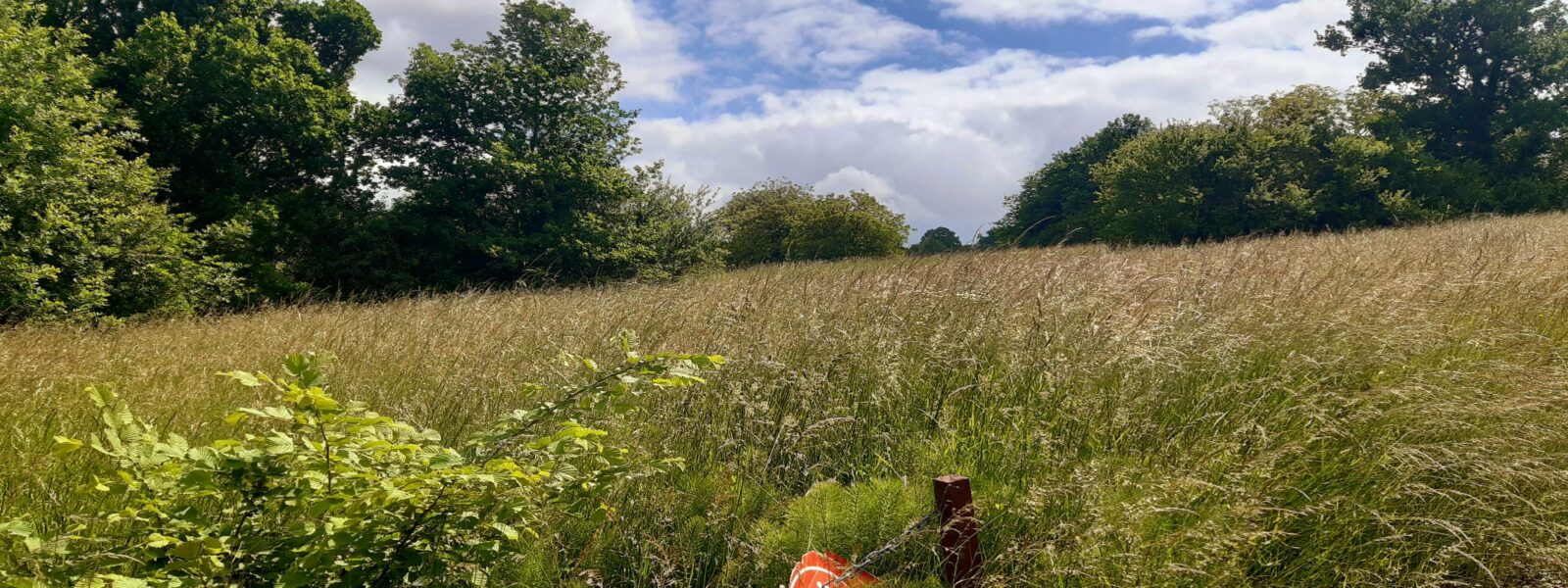 TERRAIN CREUZIER LE VIEUX.jpg