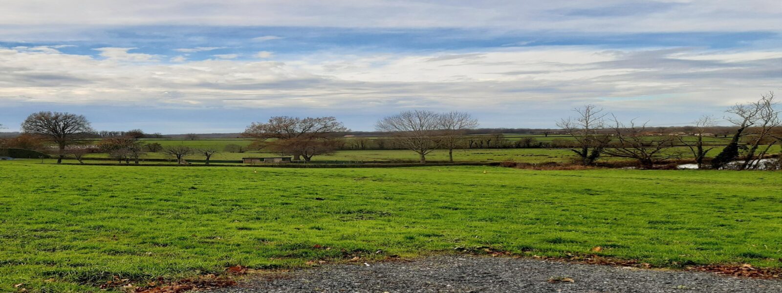 Terrain Poisson 71600.jpg