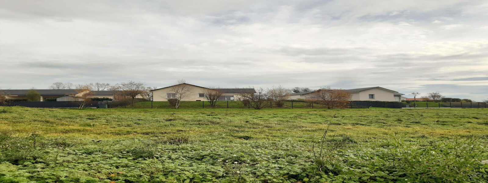 Terrain 71 Paray le Monial.jpg