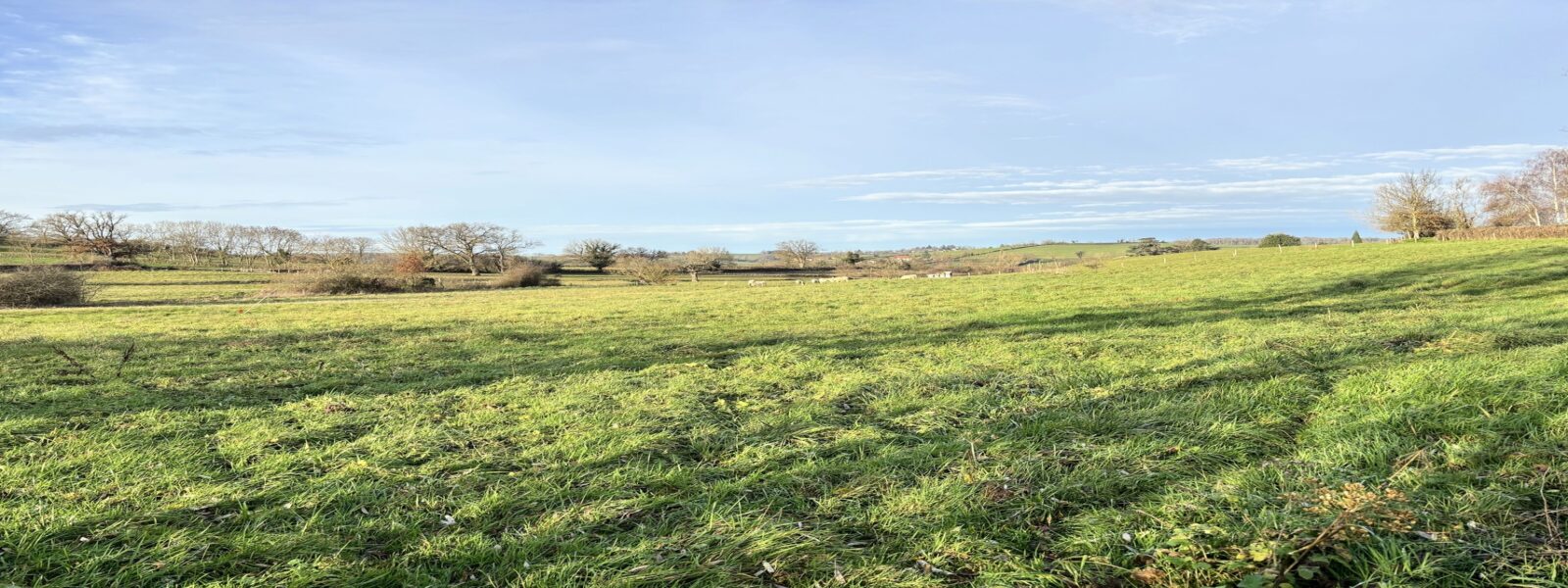 TERRAIN ST ROMAIN SOUS GOURDON 71.jpg