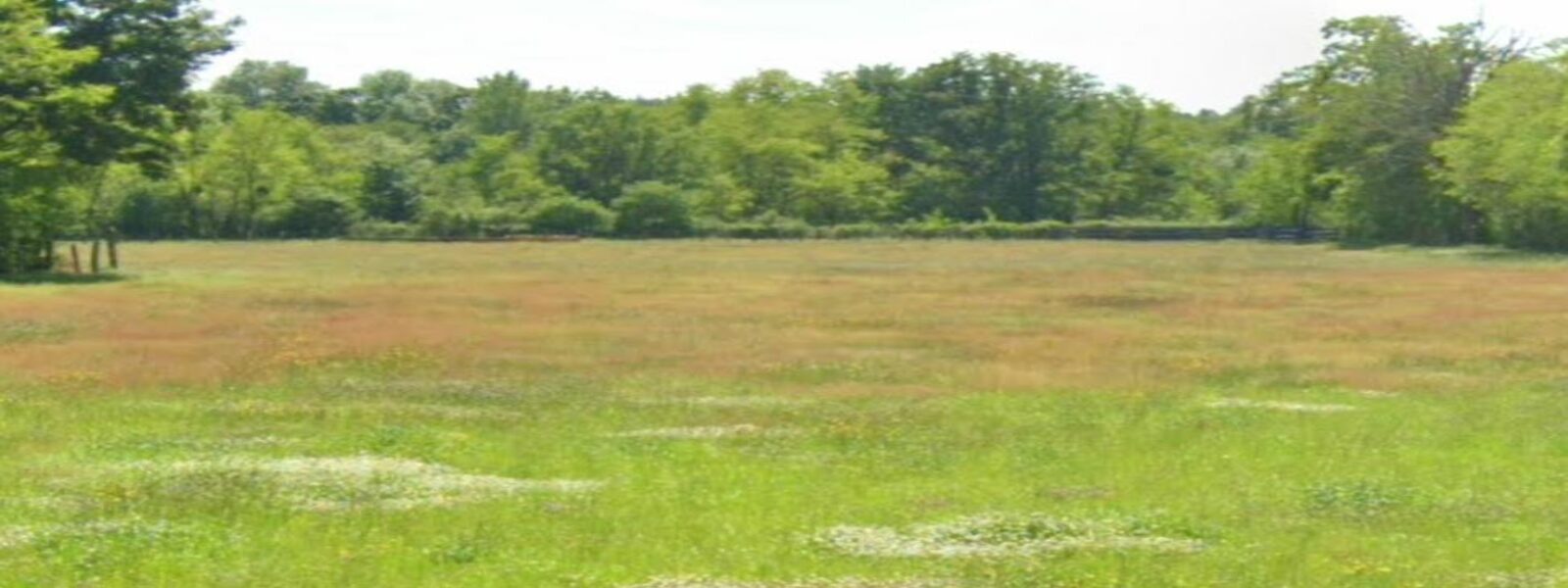 terrain.jpg