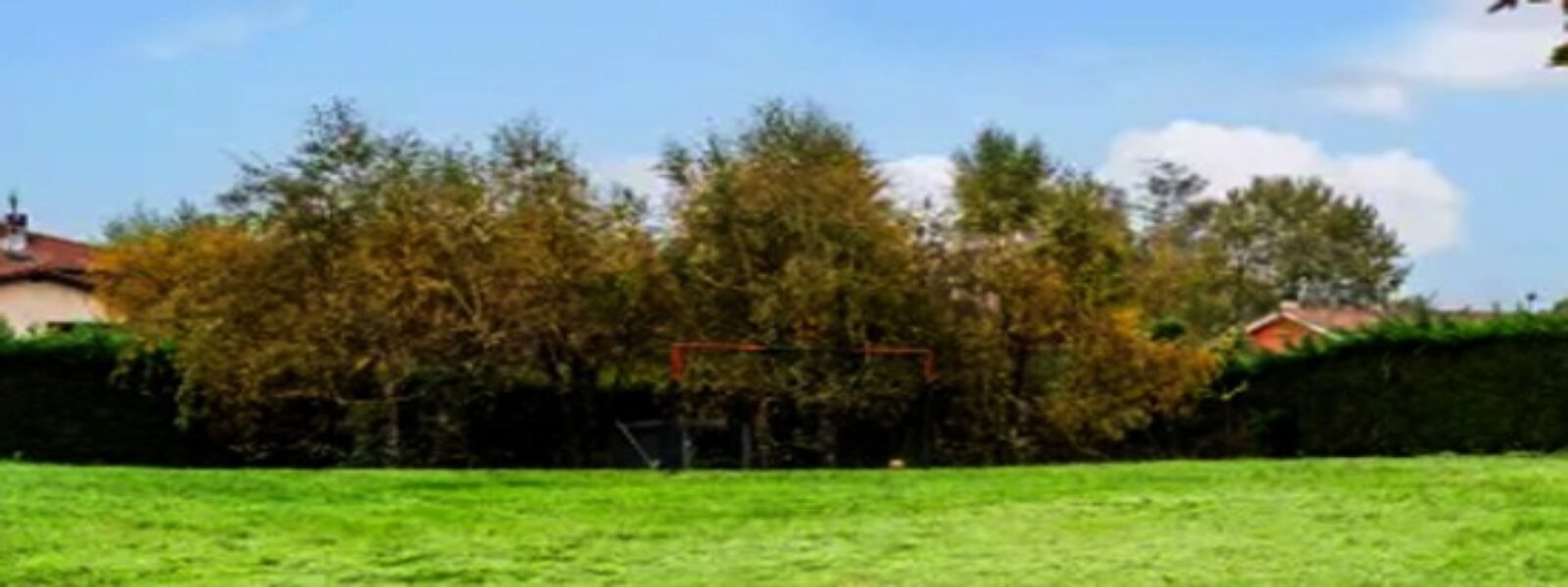 terrain.jpg