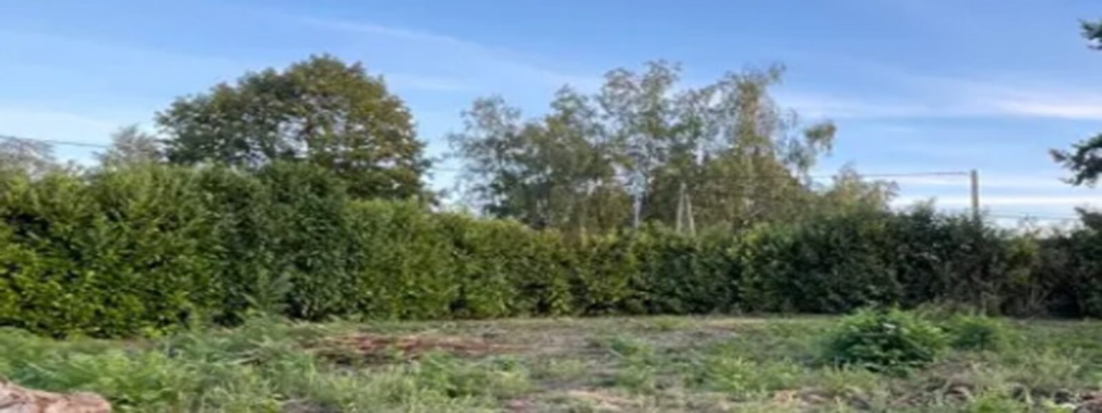 terrain.jpg